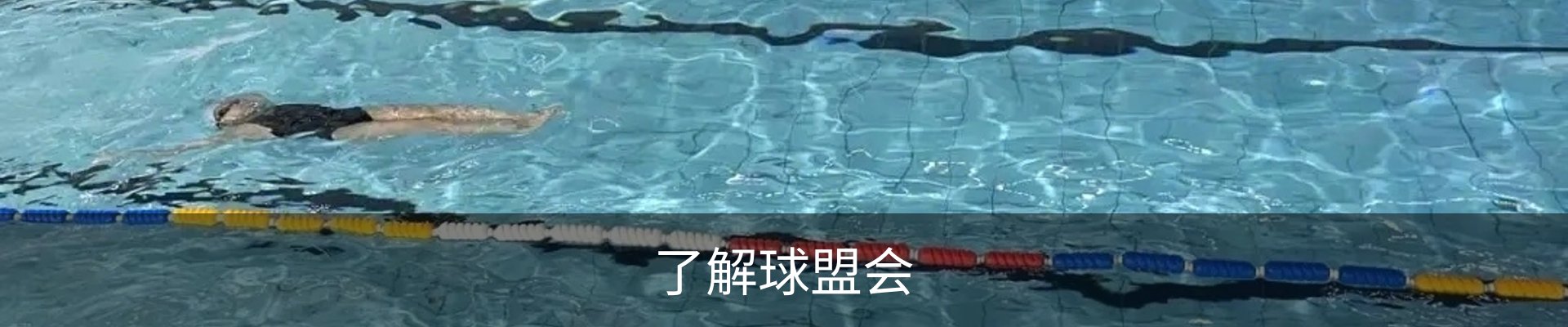 了解球盟会
